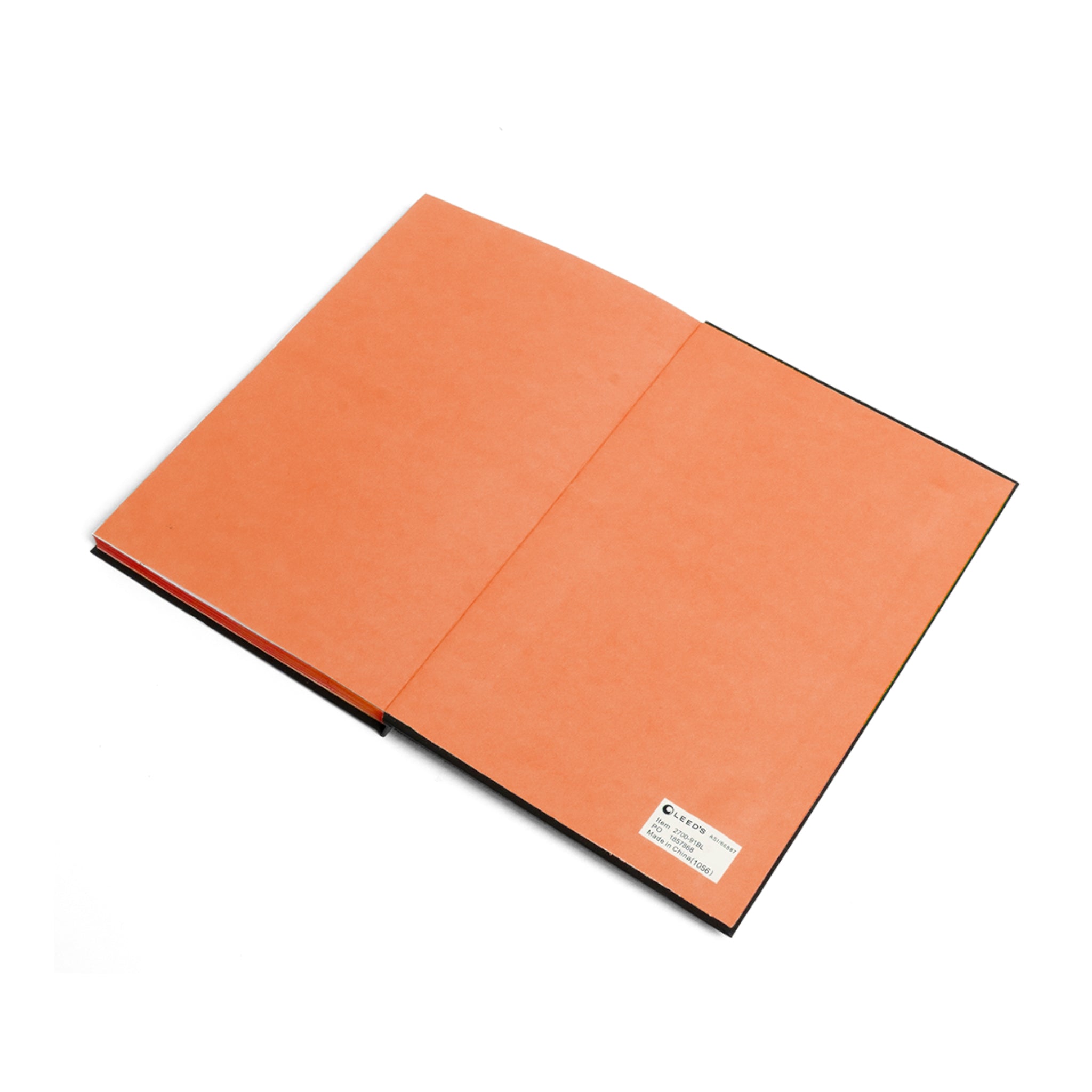 Invisible Ghost 'Unseen Pain' Ruled Color Notebook