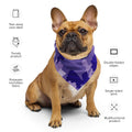 Reconnaissance Ribbon Bandana